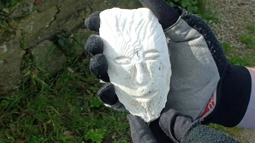 Meet Steve, found by Ash on Hemmick Beach last night