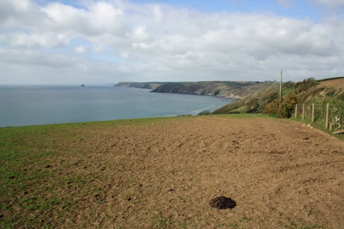 The offroad Coast Path shortcut to Portholland
