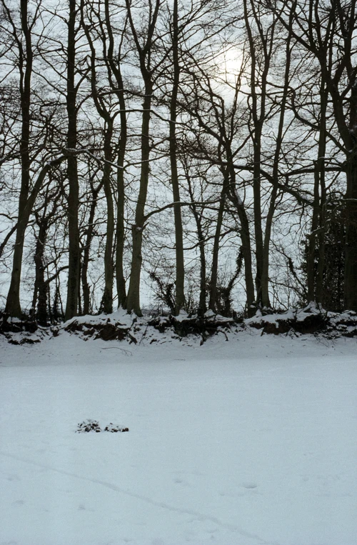 09 Feb 1991 · Crowcombe Youth Hostel: Day 1