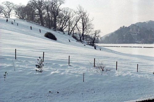 10 Feb 1991 · Crowcombe Youth Hostel: Day 2
