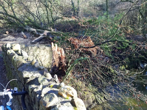 Report photo