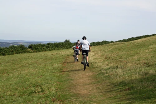 The Abbot's Way bridleway from Water Oak Corner