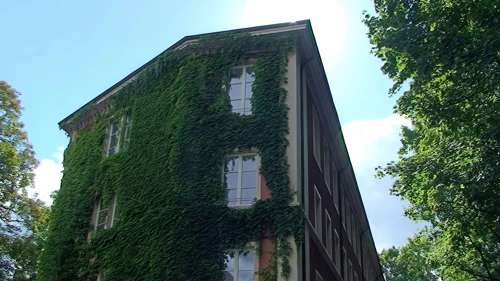 Basel Youth Hostel