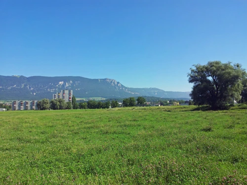 View back to Solothurn from Route 5