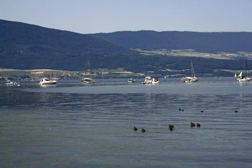 Lake Neuchâtel from our lunch spot in the woods near Yvonand