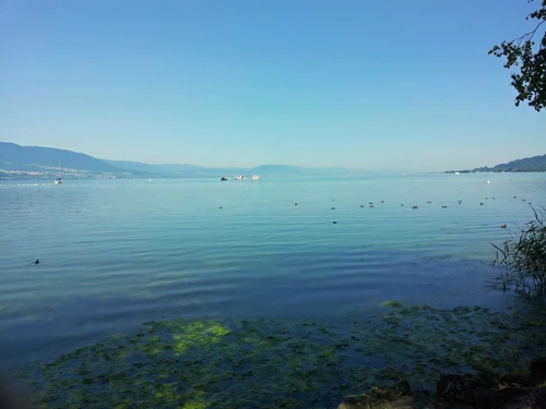 The idyllic Lake Neuchâtel