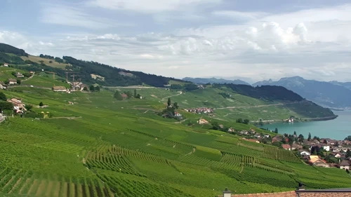 The vineyards continue as far as the eye can see from our superb viewpoint at the Restaurant du Monde, Grandvaux