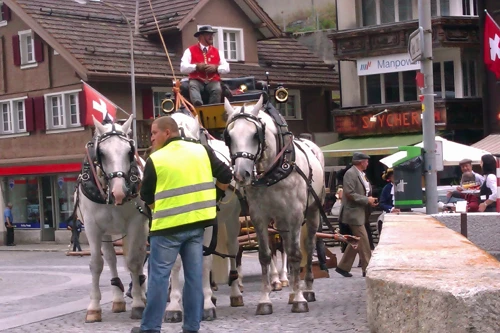 A delightful tourist horse and trap in Andermatt