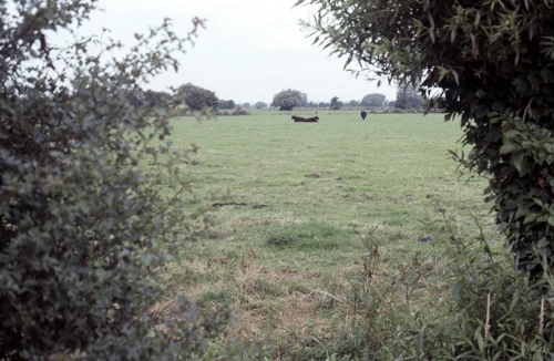 28 Jul 1991 · Street / Cheddar YH: Day 3: Street to Home